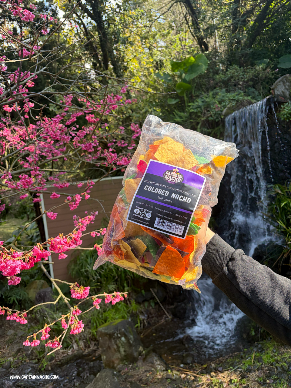 April 7, 2026 - Choose the best brand and world-class quality Nacho Chips in the market. That's our forte! 🫰🏻